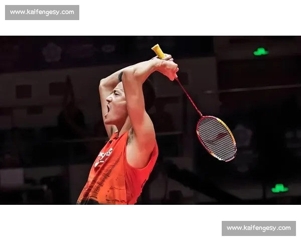 谌龙与安赛龙巅峰对决见证羽坛王者时代更迭的经典一战回顾与传奇